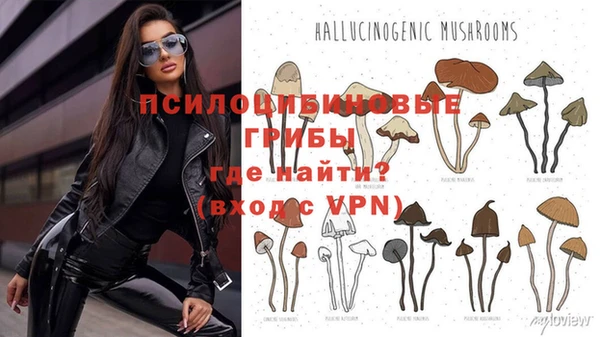 винт Кинешма