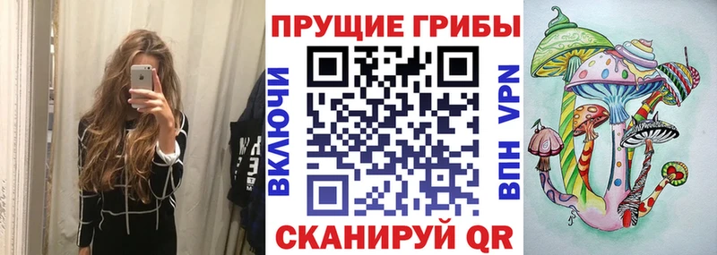 Псилоцибиновые грибы GOLDEN TEACHER  Купить закладки  Ачхой-Мартан 